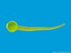 gumová nástraha Sperm Worm 4cm 